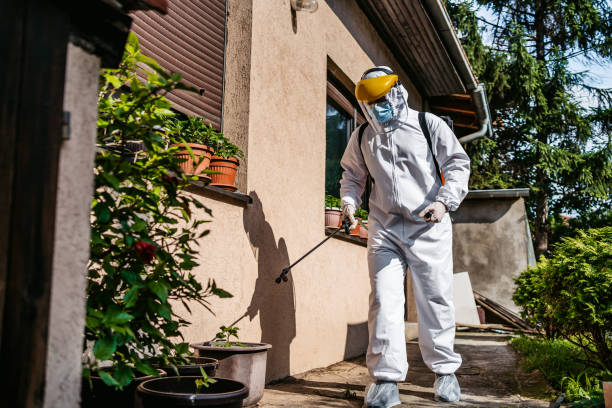 Best Pest Removal Services  in Addison, WV